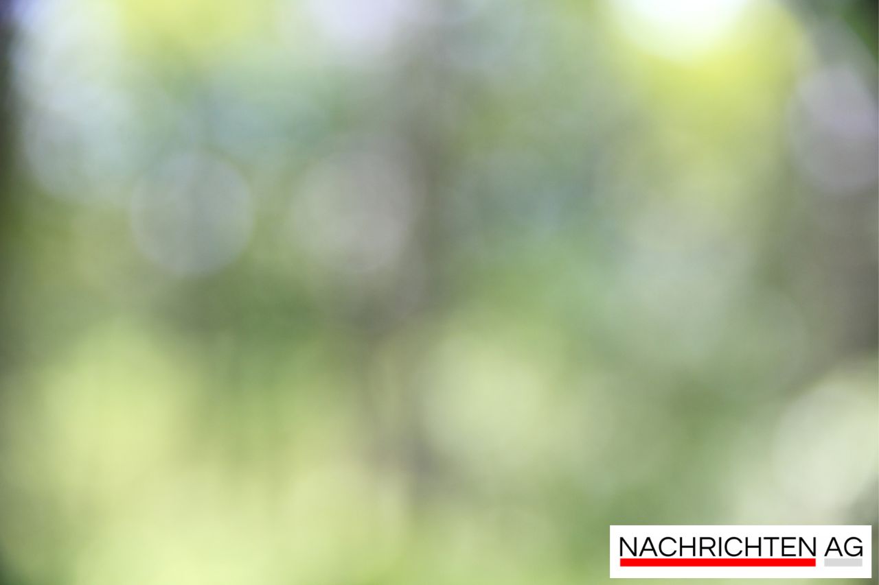 Faszination Gedächtnissport: Die Champions der Erinnerung im Film!