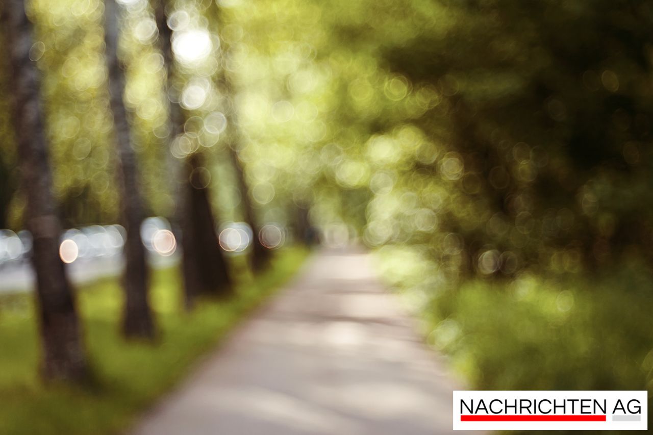 Eisbären Berlin im Traumfinale: Auf der Jagd nach dem dritten Titel in Folge