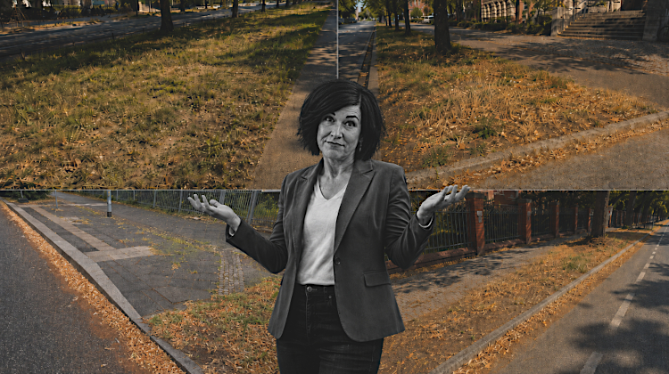 Noosha Aubel, Potsdam, verwahrloste Grünflächen und marode Straßen: Der Bürger als zahlender Michel?